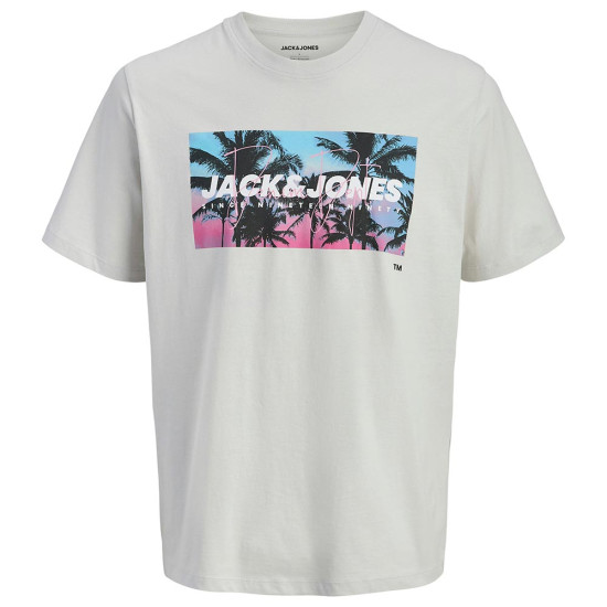 Jack & Jones Ανδρική κοντομάνικη μπλούζα Indiana Crew Neck T-Shirt